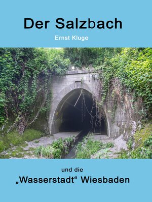 cover image of Der Salzbach und die "Wasserstadt" Wiesbaden